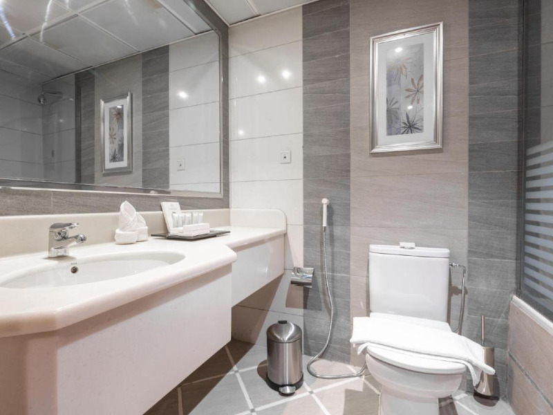 Shaza Regency Plaza Hotel